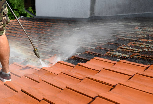 Best Residential Pressure Washing Services  in Capitan, NM