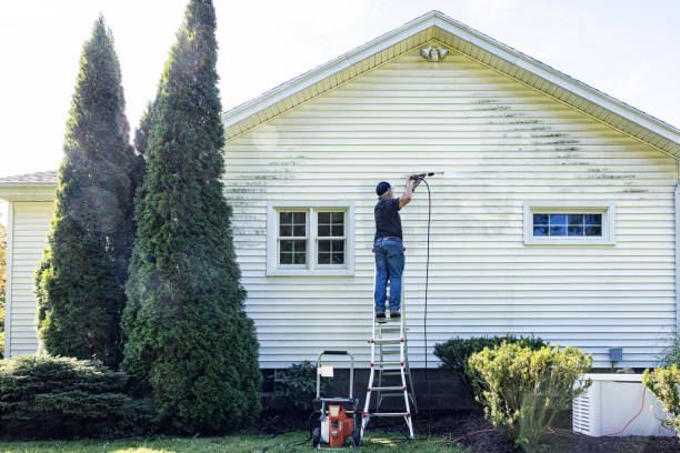 Best Local Pressure Washing Services  in Capitan, NM