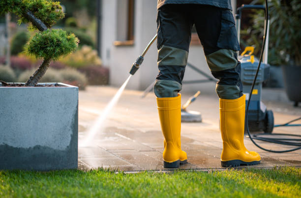 Best Power Washing Near Me  in Capitan, NM